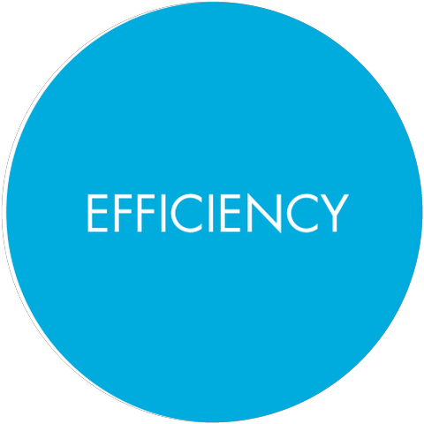 Cyan circle labeled Efficiency, taken from the brand manual.