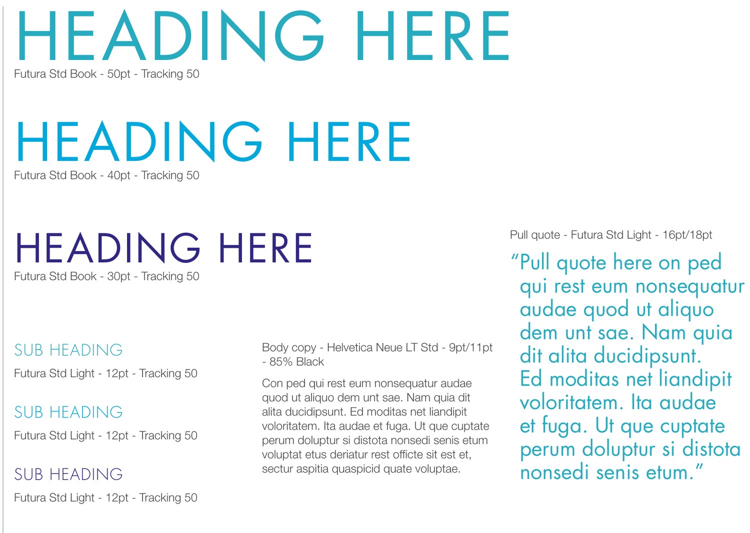 Type scale page showing three heading sizes in turquoise, cyan and dark blue, subheadings, body copy and a pull quote, each annotated with its typeface, point size and tracking.